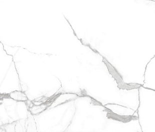 Geotiles Nilo Blanco 60x120 Leviglass (АРЦ3650)
