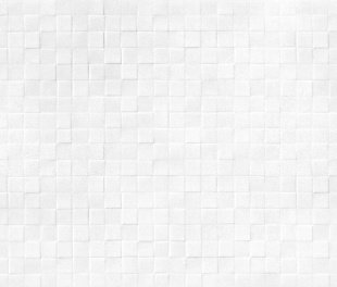 AltaCera Santos White WT9SOS00 Плитка настенная 249x500x8,5 (АРТКР2510)