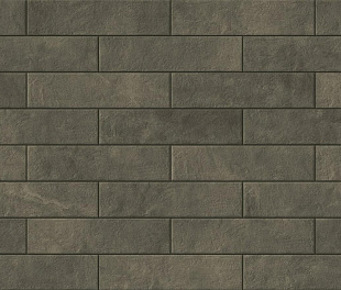 Cerrad Stone Macro Graphite  300x74x9 (ТДЗН21540)