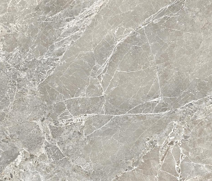 Provenza Unique Marble Moon Grey Siltech 60x120 (АРД8860)
