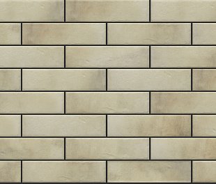 Cerrad Facade Retro Brick Salt 245x65x8 (ТДЗН21020)
