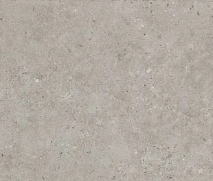 Kerama Marazzi Риккарди серый светлый матовый обрезной 60х119,5x0,9 (Линк105260)