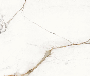 Provenza Unique Marble Paonazzetto Silktech 60x120 (АРД8830)