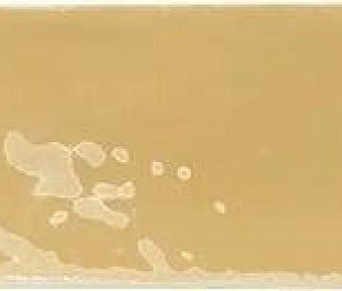 Wow Rebels Mustard Gloss (129065) 5Х15 (ТСК90000)