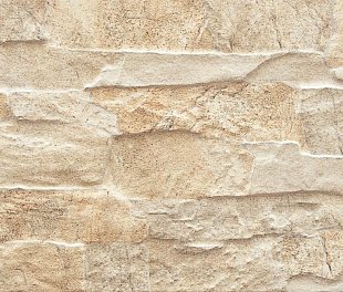 Cerrad Stone Aragon Sand  450x150x9 (ТДЗН17560)