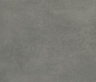 Fanal Evo Grey Mat 60x120 (ГЛБС16950)