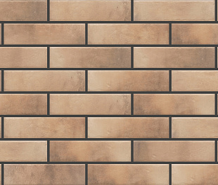 Cerrad Facade Retro Brick Masala 245x65x8 (ТДЗН21030)