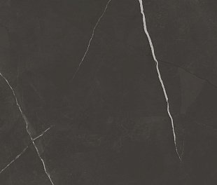 Marjan Tile Stone 8102 Pietra Black Pol 60x120 (ЭКСИ101100)