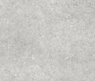 Neodom Sandstone Gris Matt 60х120 (МД555910)