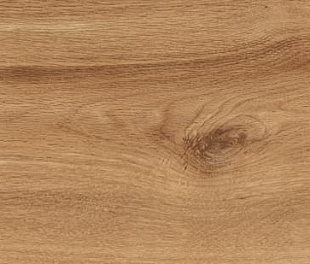Creatile Wood Knoty Pinewood (ПЛЗР3150)