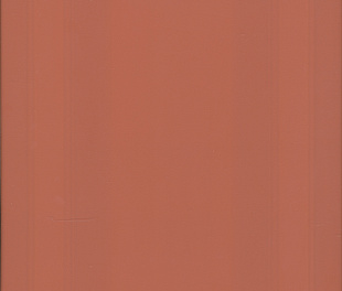 Kerama Marazzi Магнолия панель оранжевый матовый обрезной 30x60x1,05 (Линк102300)