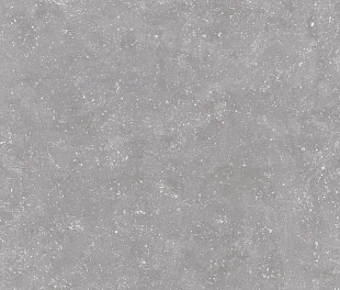 Saloni B-Stone Gris 40x120 (ССК12250)