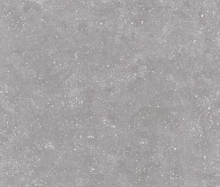 Saloni B-Stone Gris 40x120 (ССК12250)