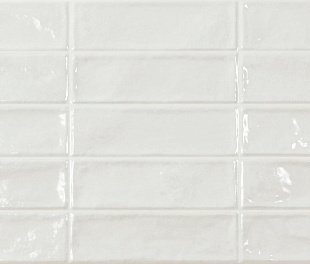 Ecoceramic Pool White 31,6x60 (РЕАЛ38500)