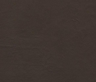 PorcelainGres Color Studio CS Brown 30x60 (ГРИФ10950)