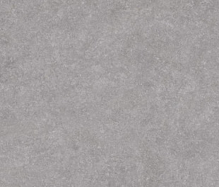 Argenta Light Stone Grey 60x60 (РЕАЛ18950)