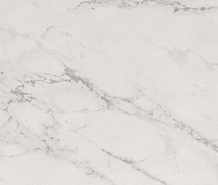 Fap Roma Stone Carrara Delicato Matt R9 (Fqw8) 60Х120 (ТСК37000)
