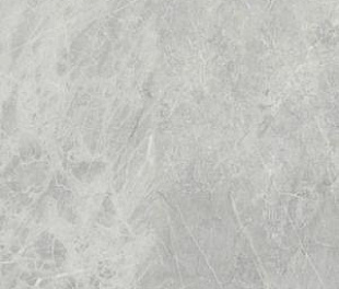 Ariostea Marmi Classici Gris de Savoie Luc Rett 60x120 (ГРИФ7800)