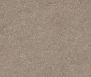 Argenta Light Stone Taupe RC 60x60 (РЕАЛ19000)