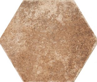 Monopole Pompeia Marron 20x24 (РЕАЛ46450)