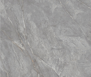 Neodom Orobico Grey Polished 120x120 (МД555560)