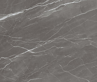 Ennface Stone Grigio Fresco 60x120 (ЕНФ3700)