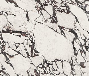 Ape Medicela Marble Honed Rect. 120x278 (КРХ3300)